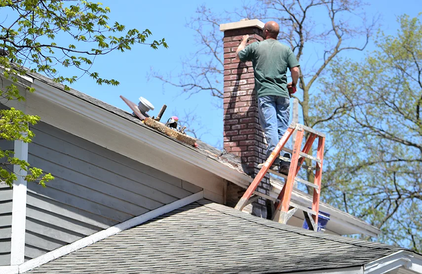 Chimney & Fireplace Inspections Services in McDonough, GA